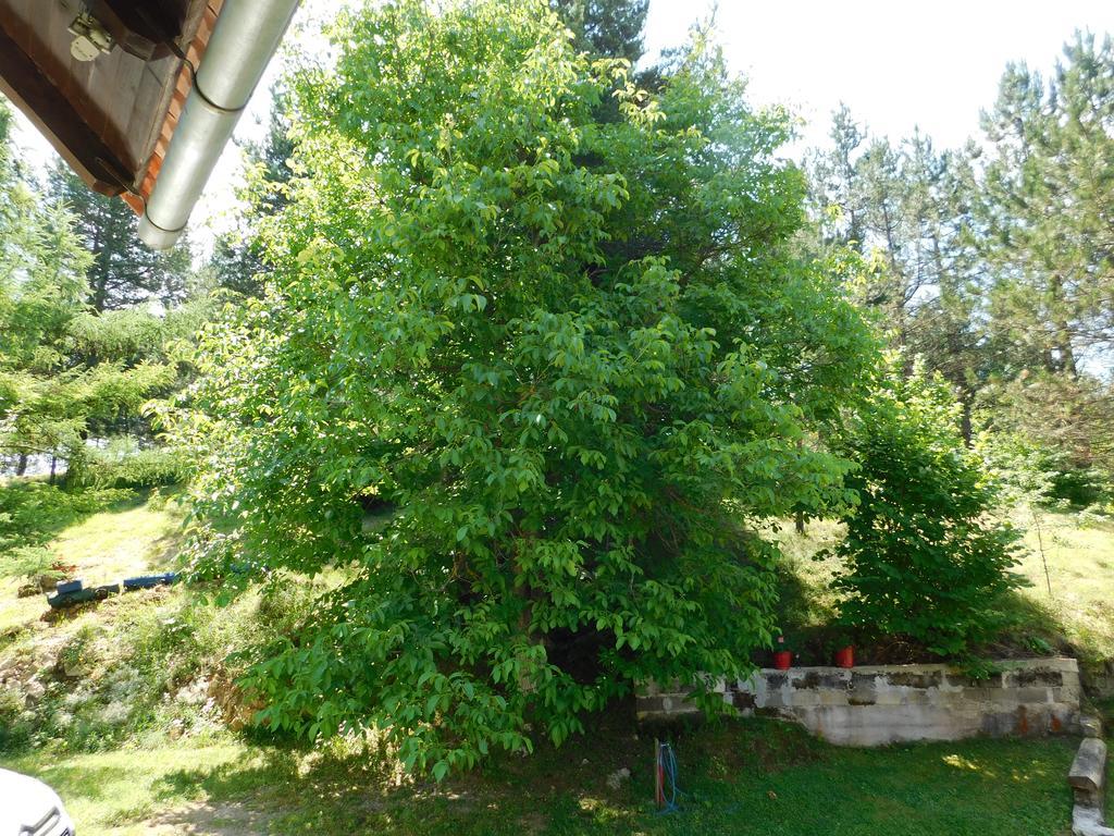 Saborsko Holiday Home Lana מראה חיצוני תמונה